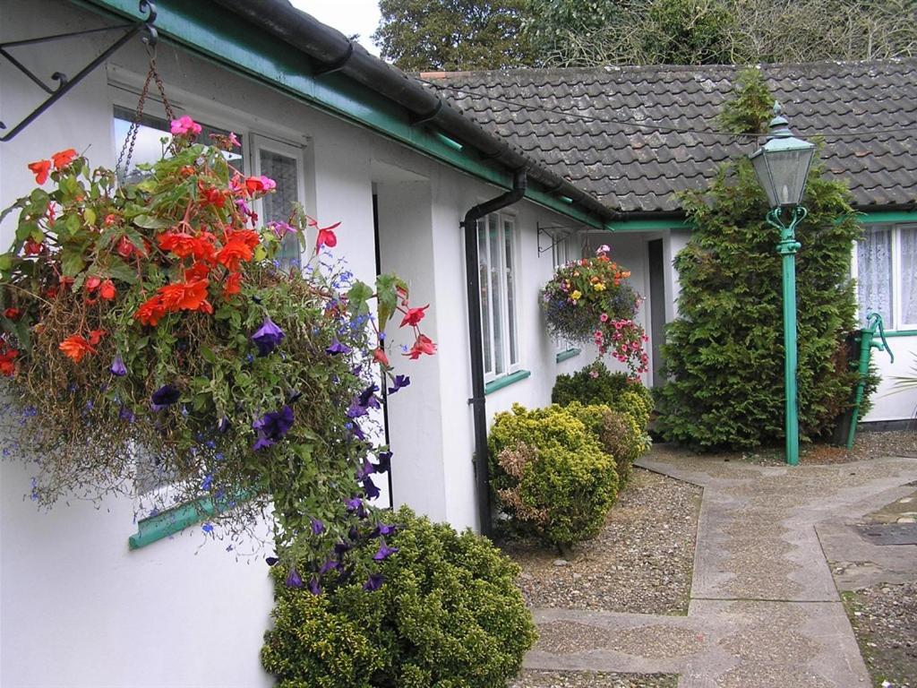 The Willow House Watton エクステリア 写真